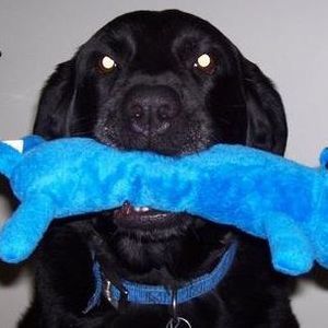 Meet your Posher, Cathy